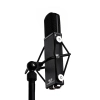 Фото №3 Студійний мікрофон JZ Microphones BB29 Signature Series