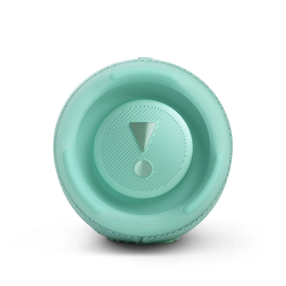 Фото №5 Портативная колонка JBL Charge 5 Steal