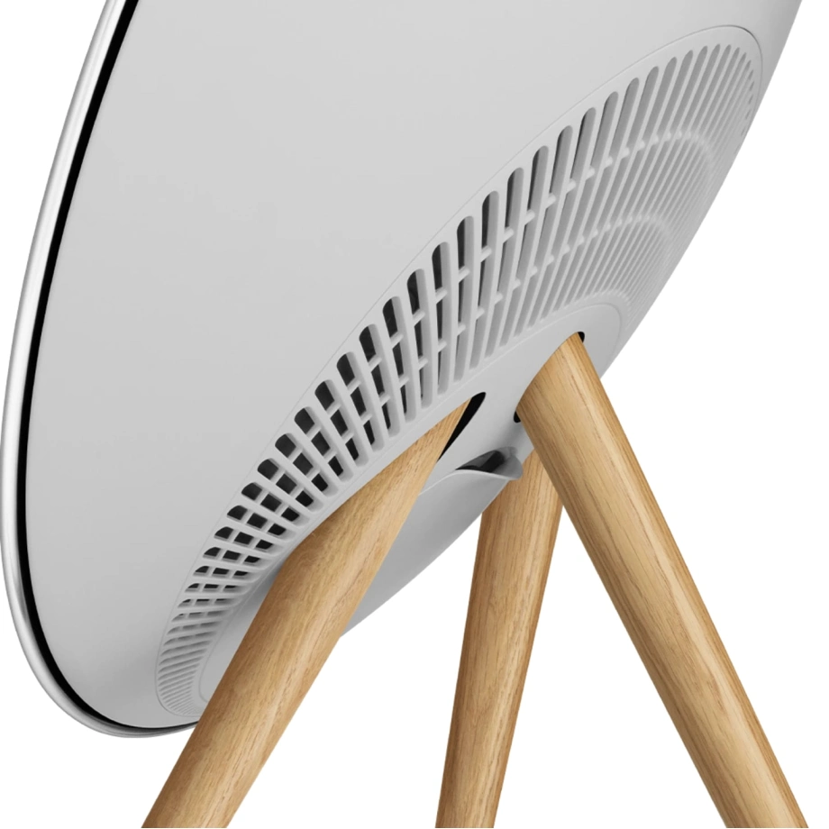 Фото №4 Портативная колонка Bang & Olufsen Beosound A9 Natural Aluminium
