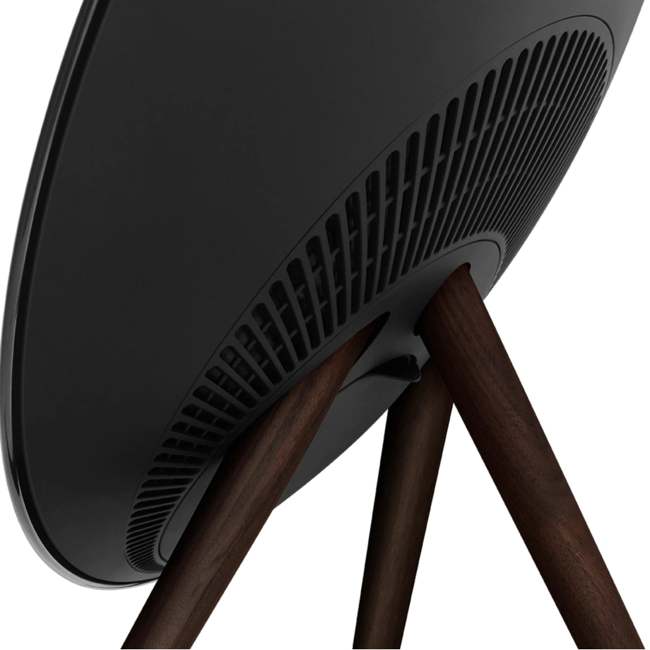Купить портативную колонку Bang & Olufsen Beosound A9 Black