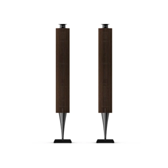 Фото Bang & Olufsen Beolab 18 Dark Oak (set) Фото Bang & Olufsen Beolab 18 Dark Oak (set)