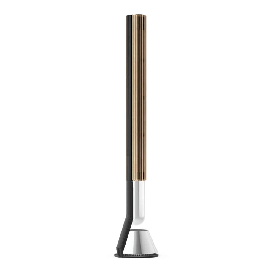 Фото №5 Акустична система Bang & Olufsen Beolab 28 Oak (set)