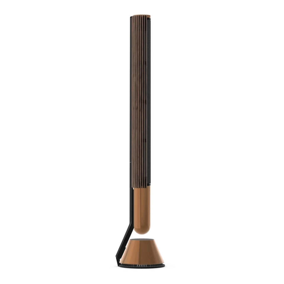 Фото №8 Акустична система Bang & Olufsen Beolab 28 Walnut (set)