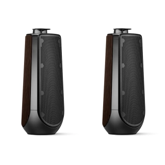 Фото Bang & Olufsen Beolab 50 Dark Oak (set)
