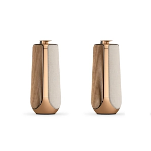Фото Bang & Olufsen Beolab 50 Light Oak (set) Фото Bang & Olufsen Beolab 50 Light Oak (set)