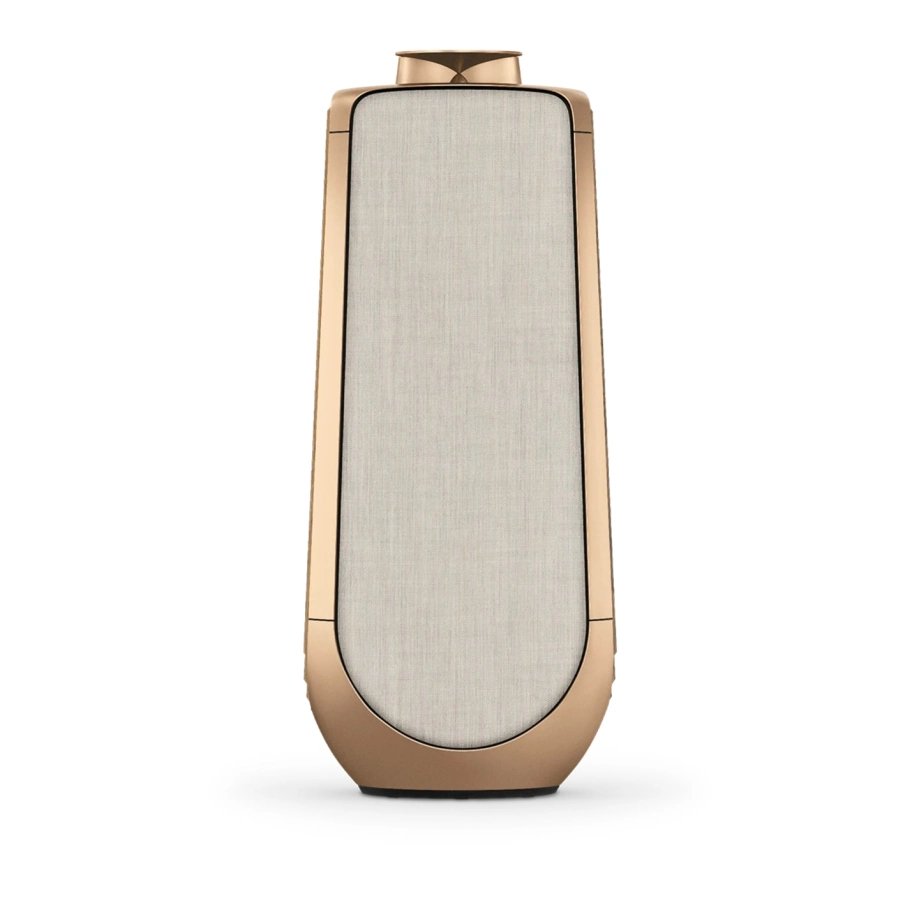 Фото №4 Акустична система Bang & Olufsen Beolab 50 Light Oak (set)