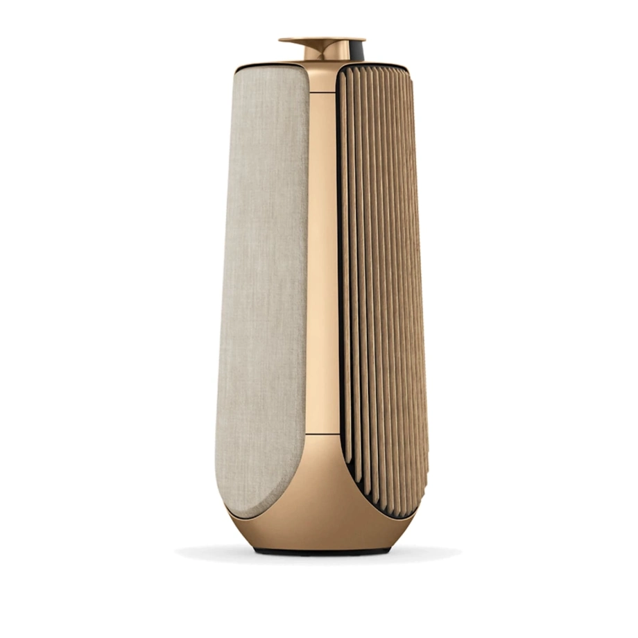 Фото №5 Акустична система Bang & Olufsen Beolab 50 Light Oak (set)