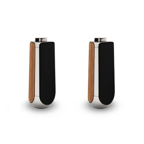 Фото Bang & Olufsen Beolab 50 Oak Wood (set) Фото Bang & Olufsen Beolab 50 Oak Wood (set)