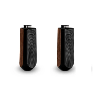 Фото Bang & Olufsen Beolab 50 Smoked Oak (set) Фото Bang & Olufsen Beolab 50 Smoked Oak (set)