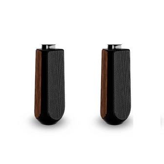 Фото Bang & Olufsen Beolab 50 Smoked Oak (set)