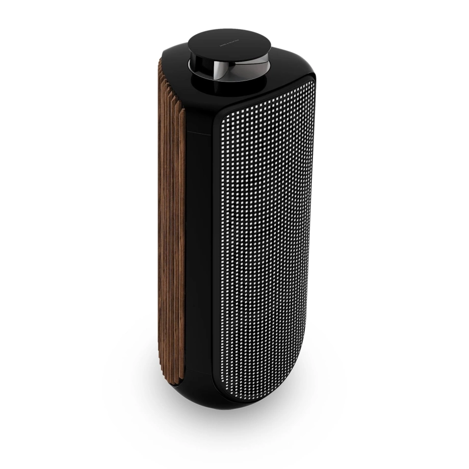 Фото №2 Акустическая система Bang & Olufsen Beolab 50 Smoked Oak (set)
