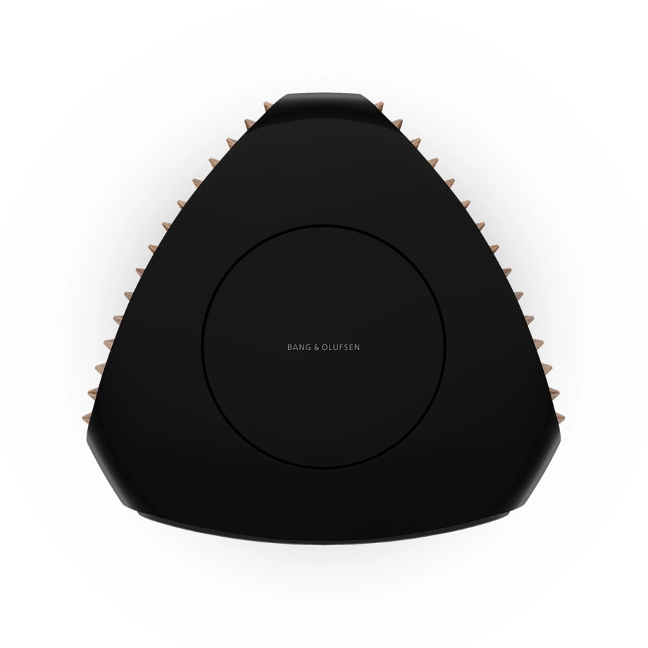 Фото №4 Акустическая система Bang & Olufsen Beolab 50 Smoked Oak (set)