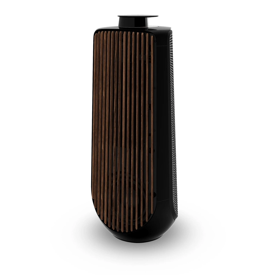 Фото №6 Акустическая система Bang & Olufsen Beolab 50 Smoked Oak (set)