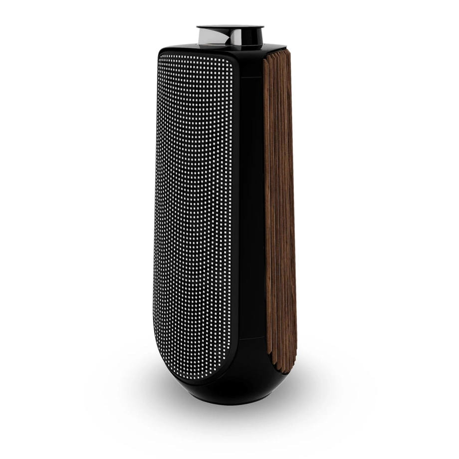 Фото №8 Акустическая система Bang & Olufsen Beolab 50 Smoked Oak (set)
