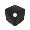 Фото №12 Акустическая система Bang & Olufsen Beolab 90 Black/Oak (set)