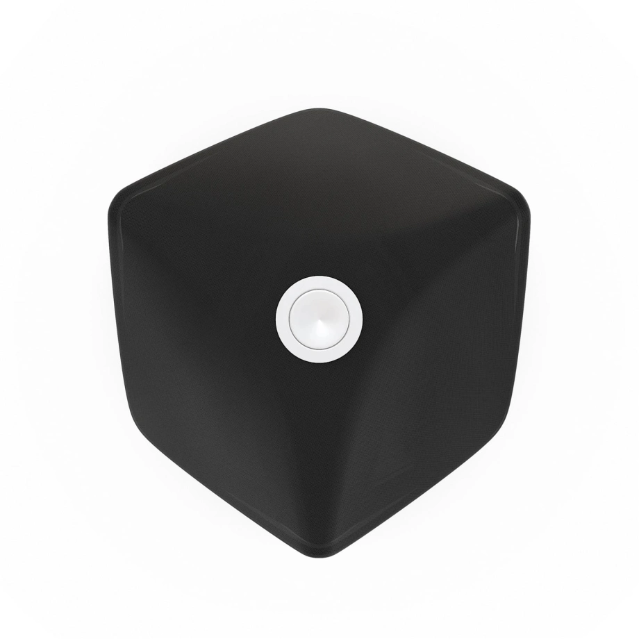 Фото №12 Акустична система Bang & Olufsen Beolab 90 Black/Oak (set)