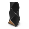 Фото №7 Акустическая система Bang & Olufsen Beolab 90 Black/Oak (set)
