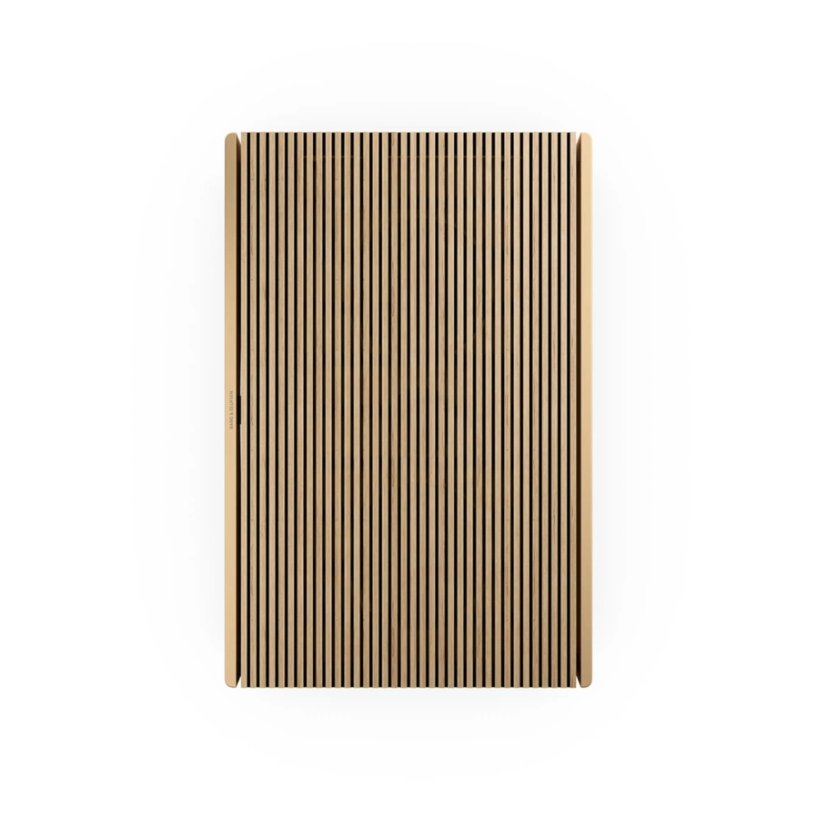Фото №3 Портативная колонка Bang & Olufsen Beosound Level Gold Tone