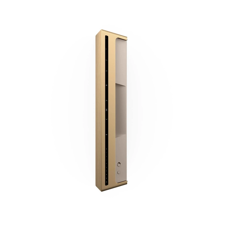Фото №4 Портативная колонка Bang & Olufsen Beosound Level Gold Tone