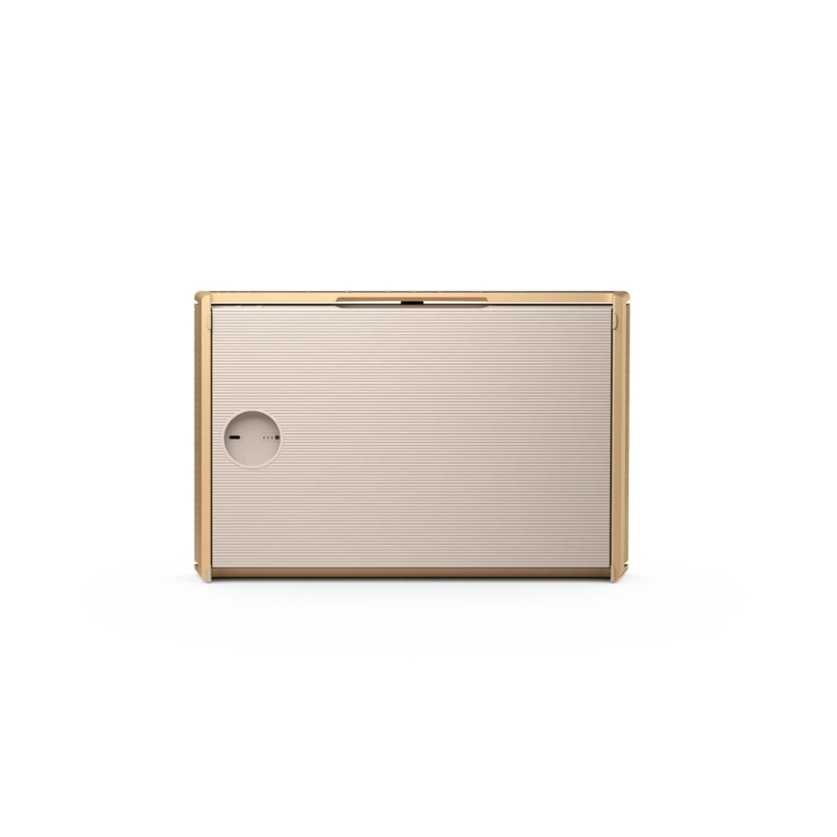 Фото №8 Портативная колонка Bang & Olufsen Beosound Level Gold Tone