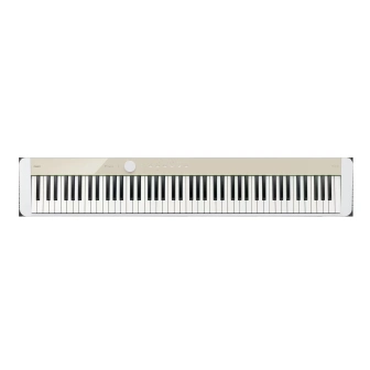 Фото Casio Privia PX-S1100MB
