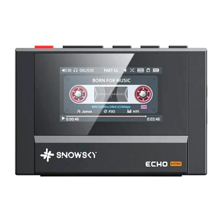 Фото №1 Аудиоплеер FiiO Snowsky ECHO Mini 512Mb Black