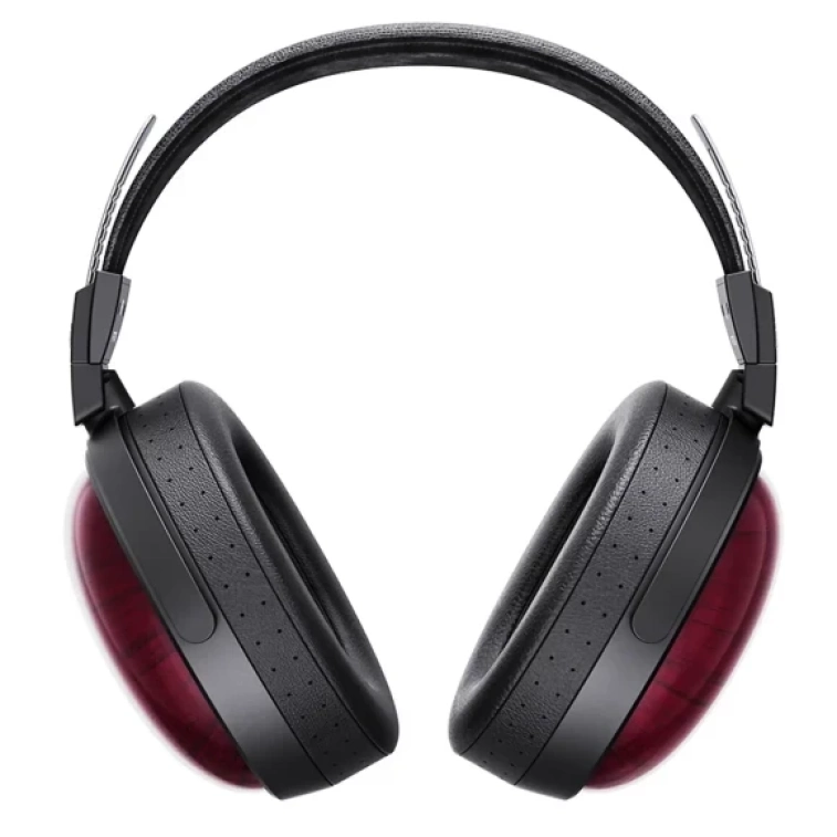Фото №1 Навушники для аудіофілів FiiO FT13 Purpleheart Natural