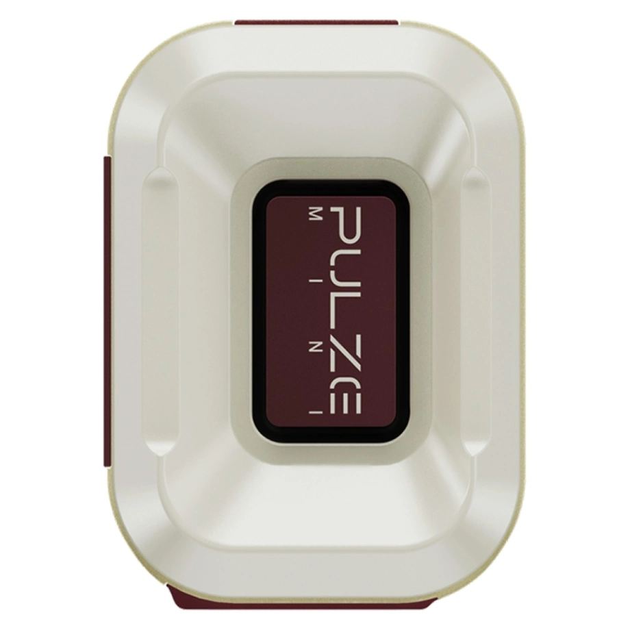 Фото №3 Комбоусилитель HOTONE AUDIO PULZE MINI