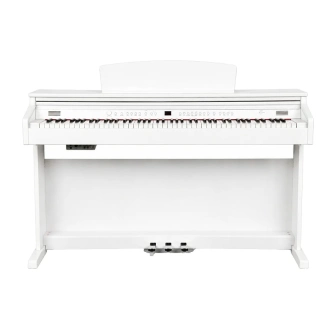 Фото Artesia DP20 WH