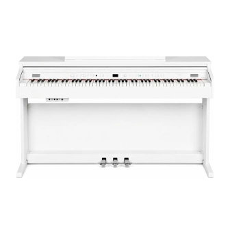 Фото Artesia DP30 WH