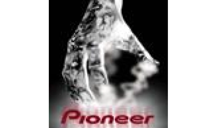 Pioneer ProDJ/Специальные новогодние цены!