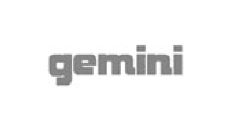 GEMINI на складе!