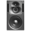 Фото №1 Студийный монитор Genelec 1238A