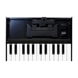 Фото Roland Boutique K-25m