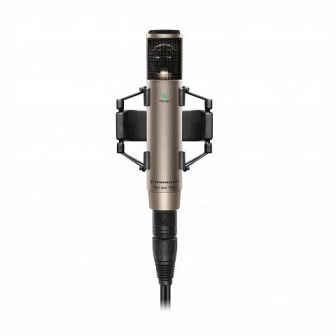 Sennheiser MKH 800 TWIN_NI