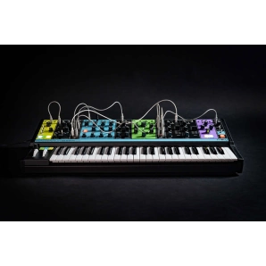 Фото Moog Matriarch