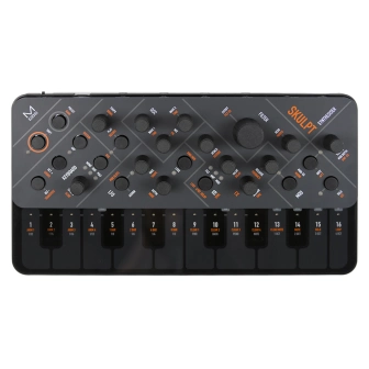 Modal Electronics Black SKULPT