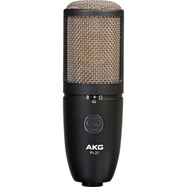 Фото AKG Perception P420