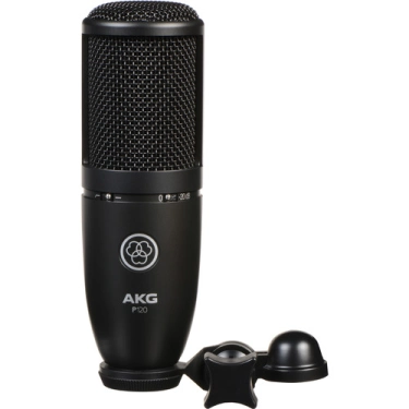 Фото AKG P120