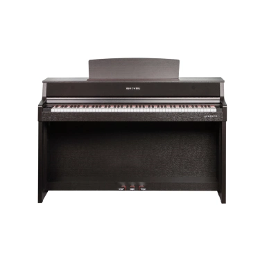 Kurzweil CUP410 SR