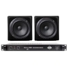 Студийный монитор Avantone Pro Mixcubes & CLA100 Monitor Bundle (Black)