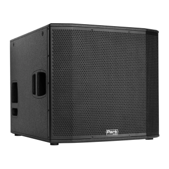 Park Audio NX6118