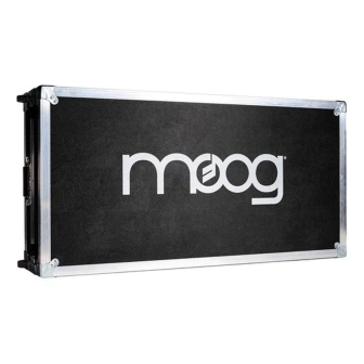 Moog Subsequent 25 ATA Case