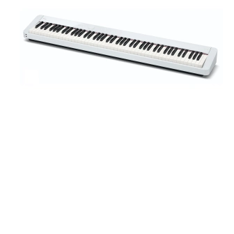 CASIO PX-S1100WE