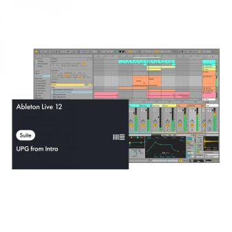 Ableton Live 12 Suite, UPG from Live Lite