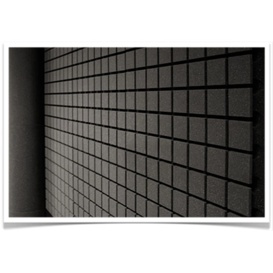 Фото №2 Акустические панели Vicoustic Flexi Panel A50