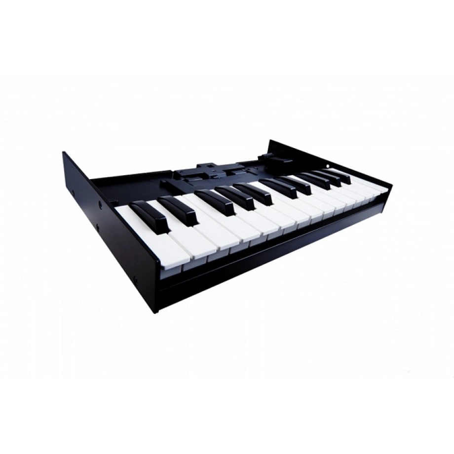 Фото №2 Синтезатор Roland Boutique K-25m