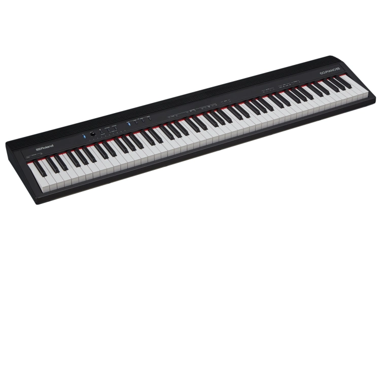Синтезатор и рабочая станция Roland GO:PIANO88 P | Купить в