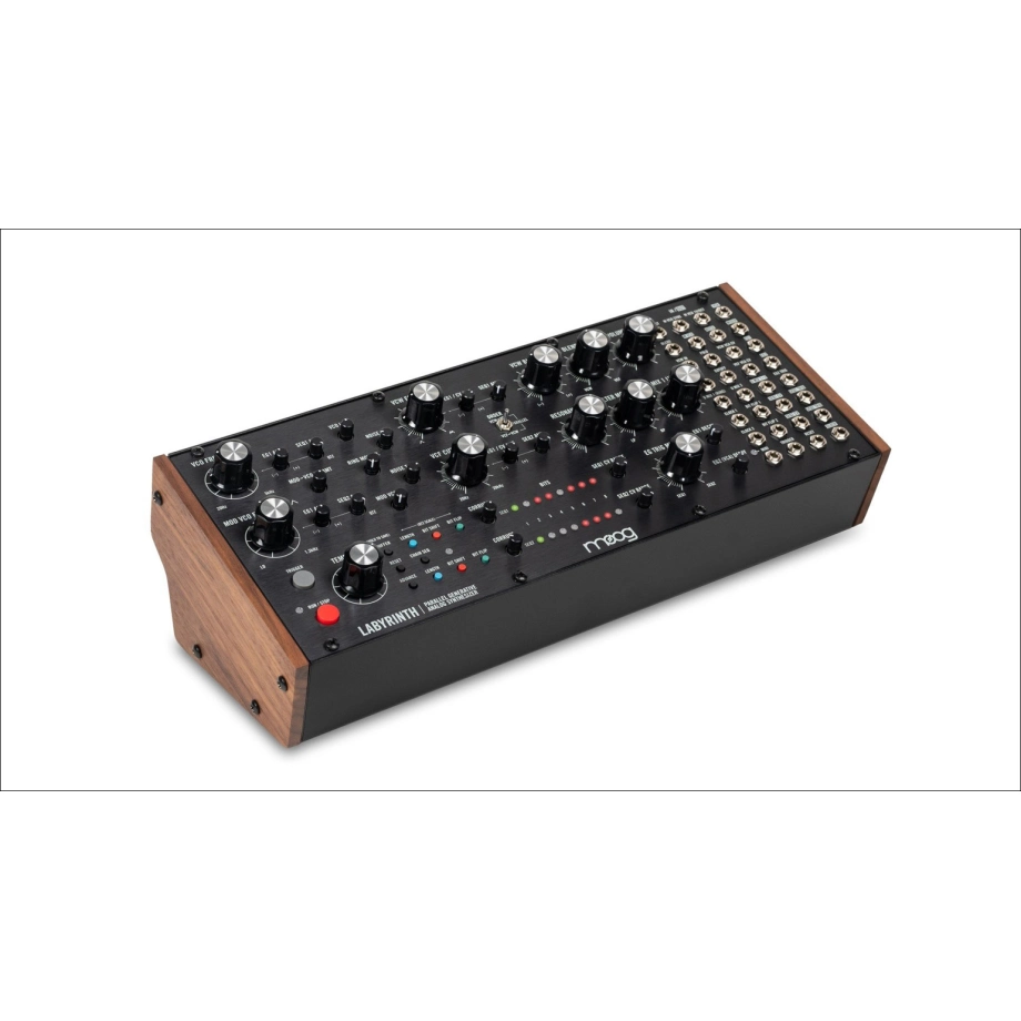 Фото №2 Синтезатор Moog Labyrinth