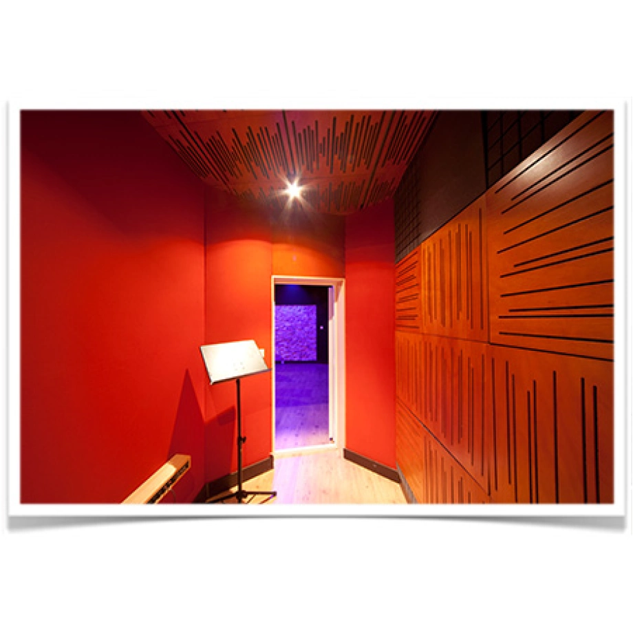 Фото №3 Акустические панели Vicoustic Vari Panel